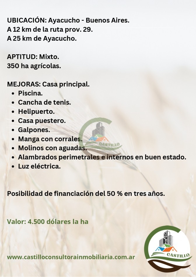 828 ha Mixto - Ayacucho