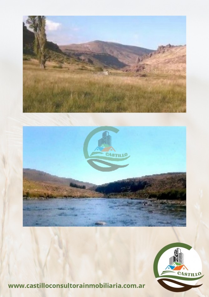 10000 ha mixto - Neuquen