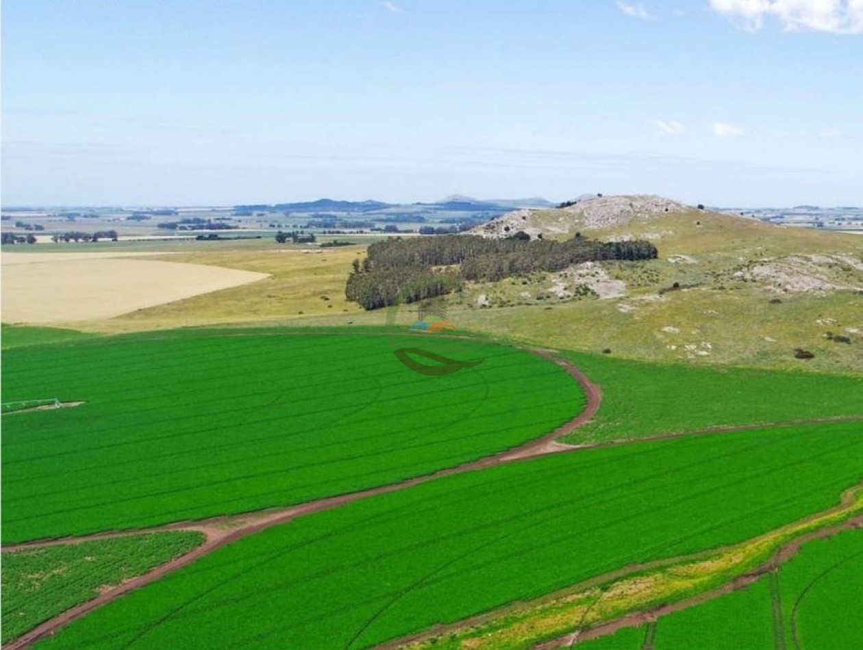 1970 Ha Agricolas - Balcarce