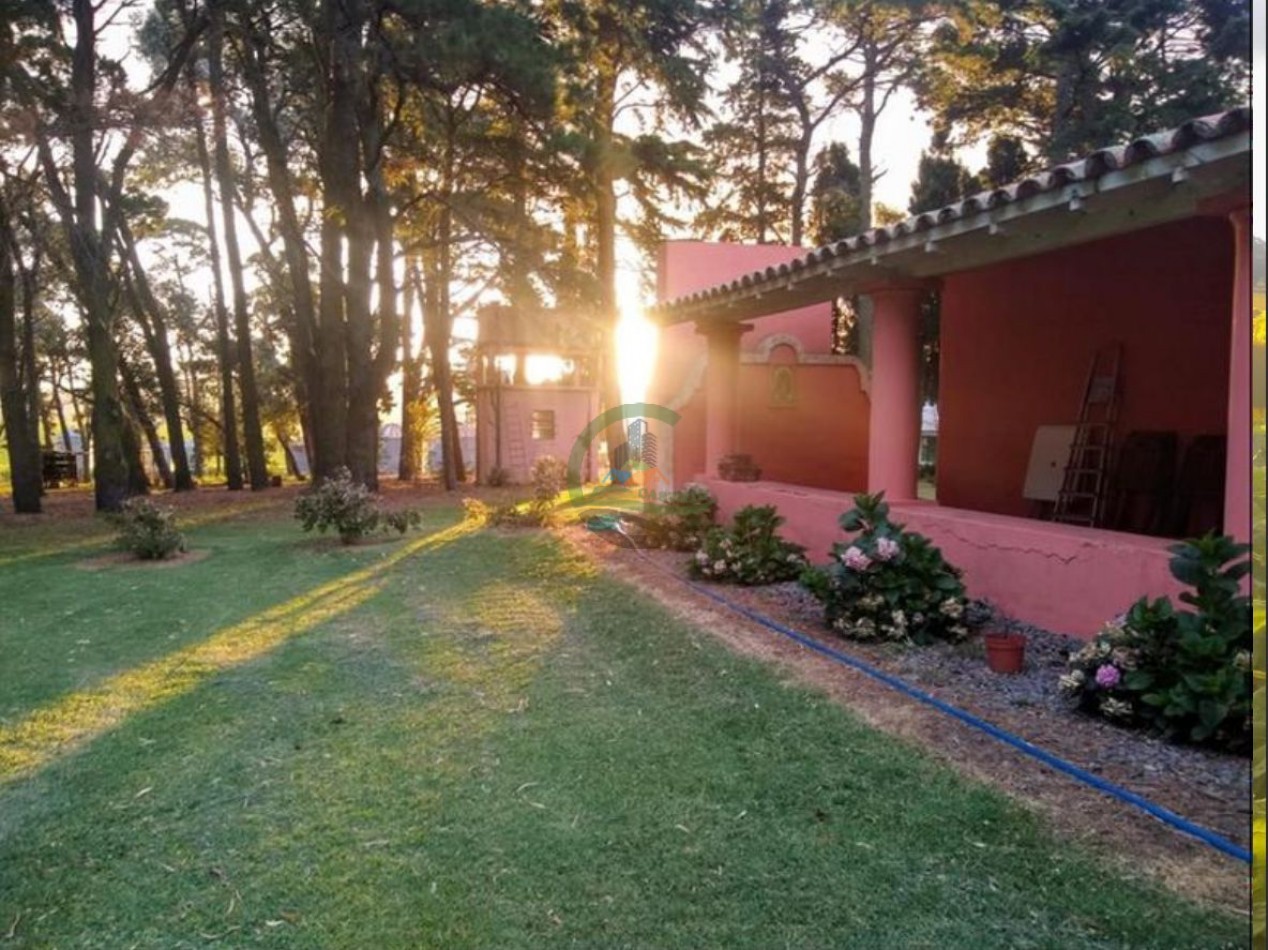 850 HA Agricolas - Tandil