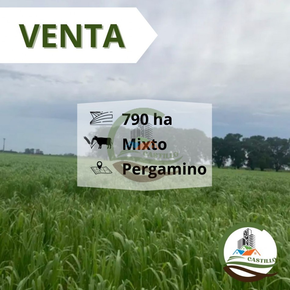 790 ha Mixto - Pergamino - Tranquera cerrada
