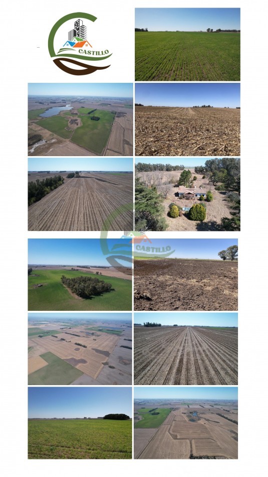 855 ha Agricolas - Gral Arenales