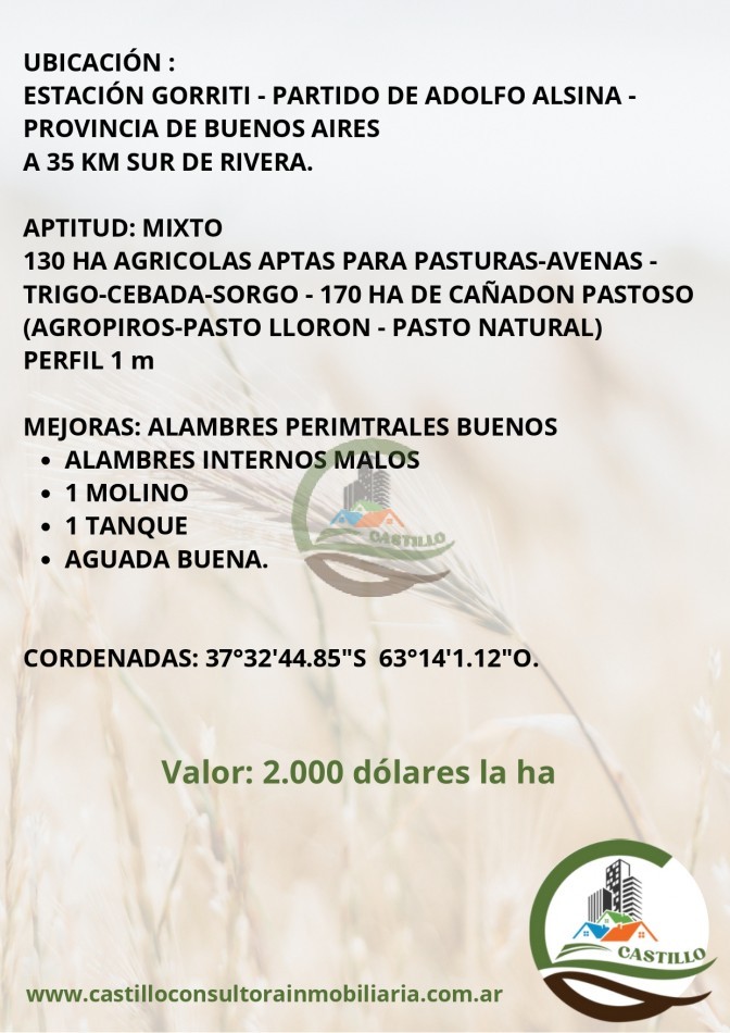 300 ha mixtas - adolfo alsina