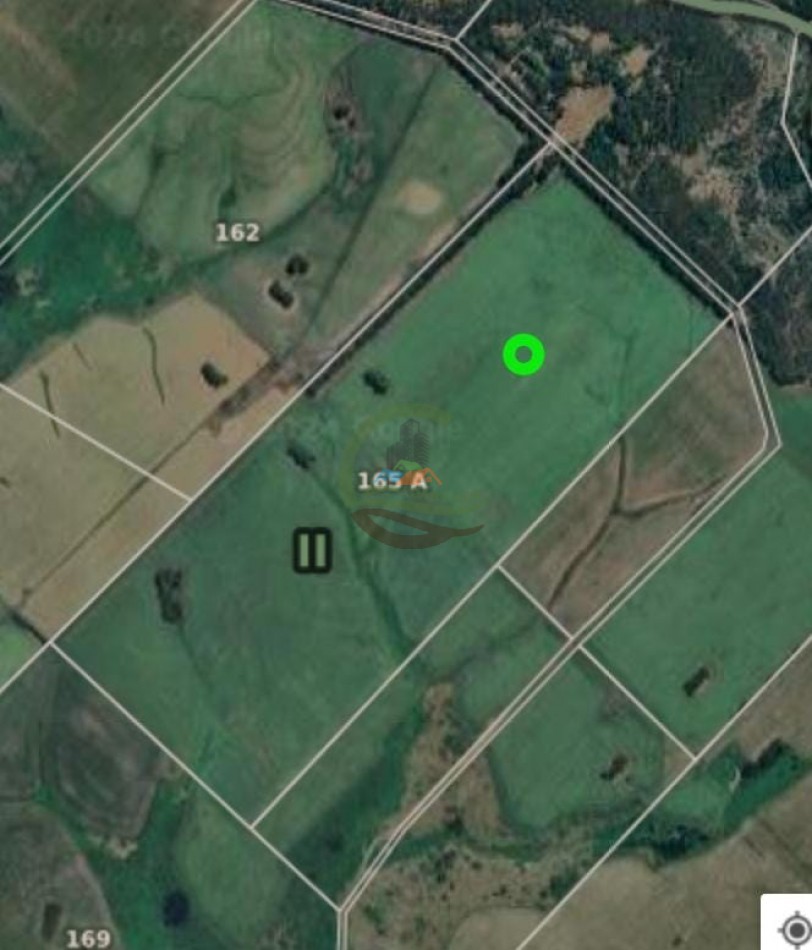 175 ha agricolas - balcarce 