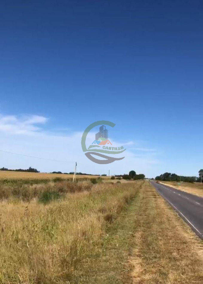 140 Ha Agricolas - Saladillo