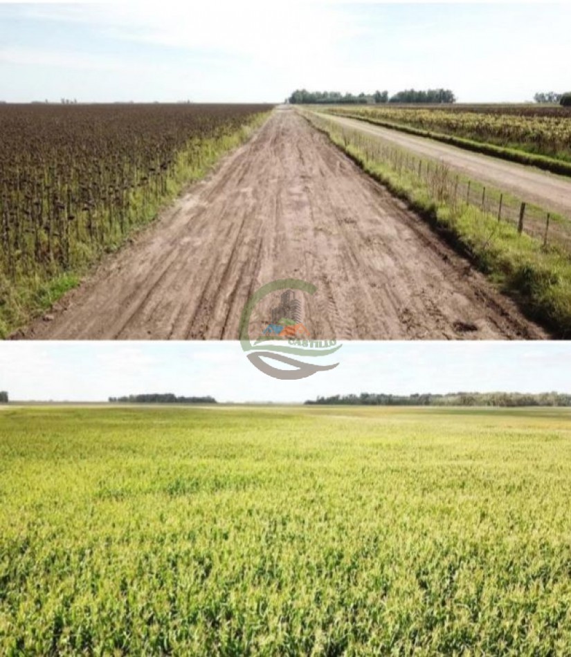 5382,89 Ha Mixtas - Tapalque