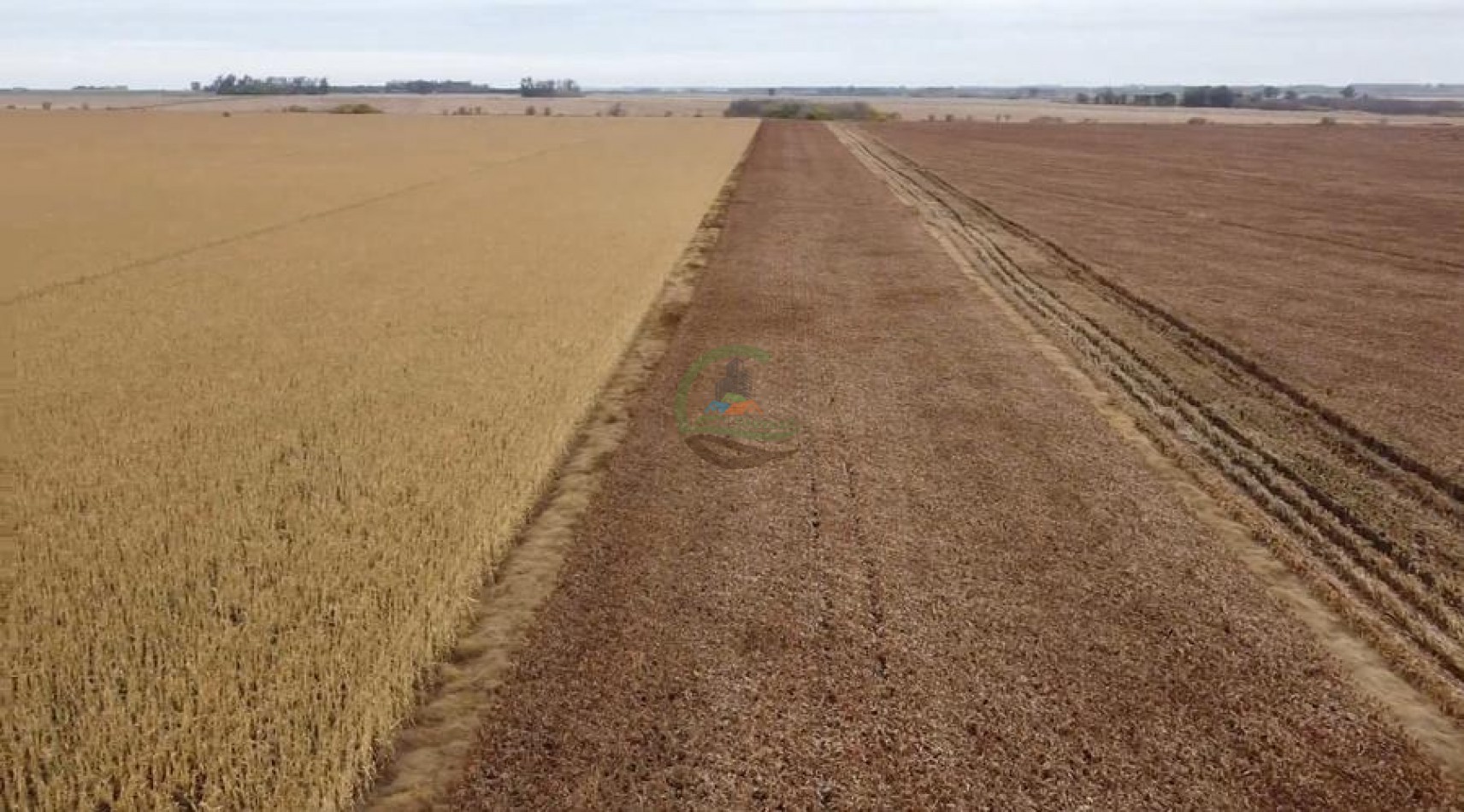 300 Ha Agricolas - Armstrong - Santa Fe