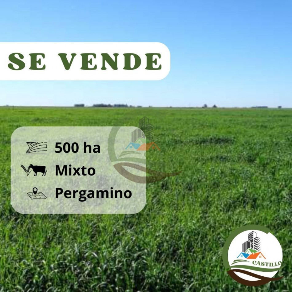 515 ha MIxtas - Pergamino