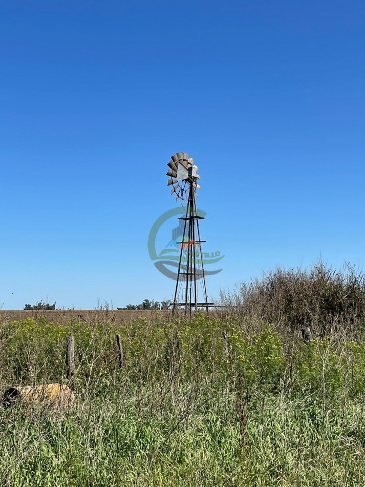 265 HA Agricolas - Saladillo