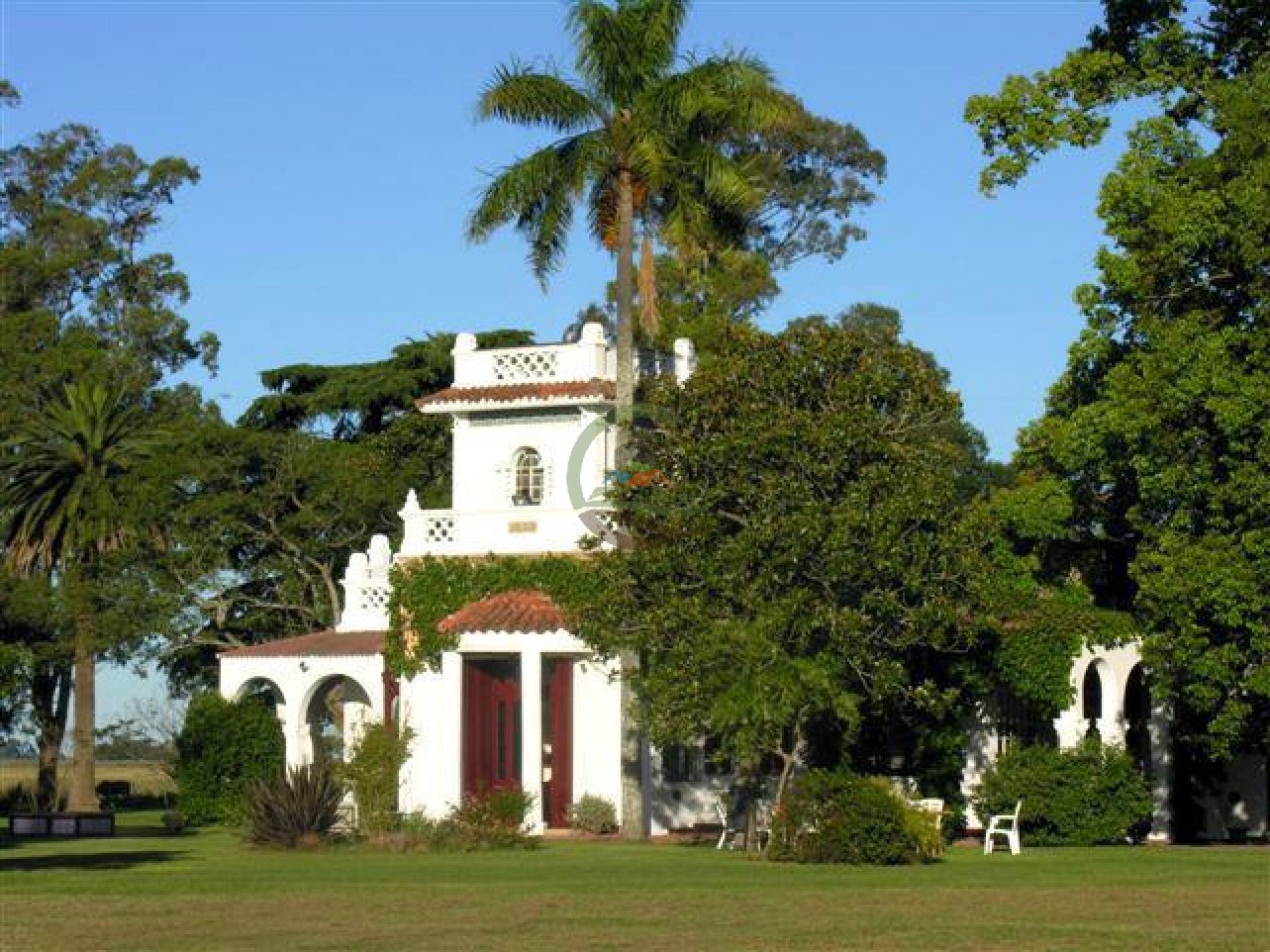 899 Ha Mixtas - Chascomus