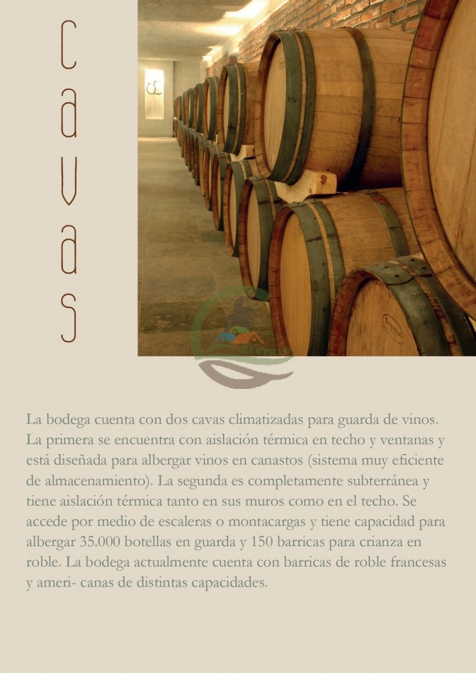 Bodega - Cafayate