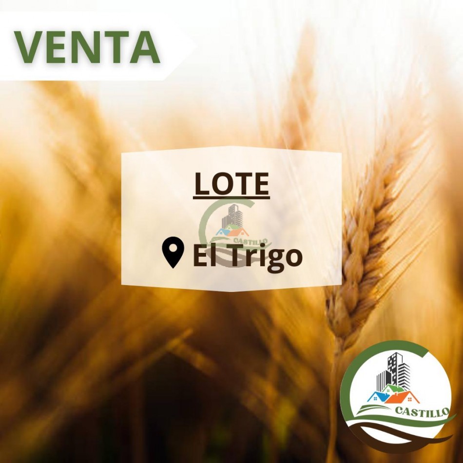 lote 40x40 - el trigo