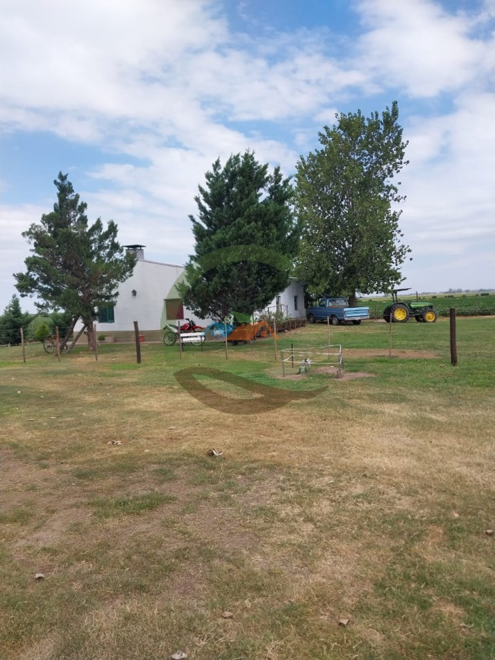515 ha MIxtas - Pergamino