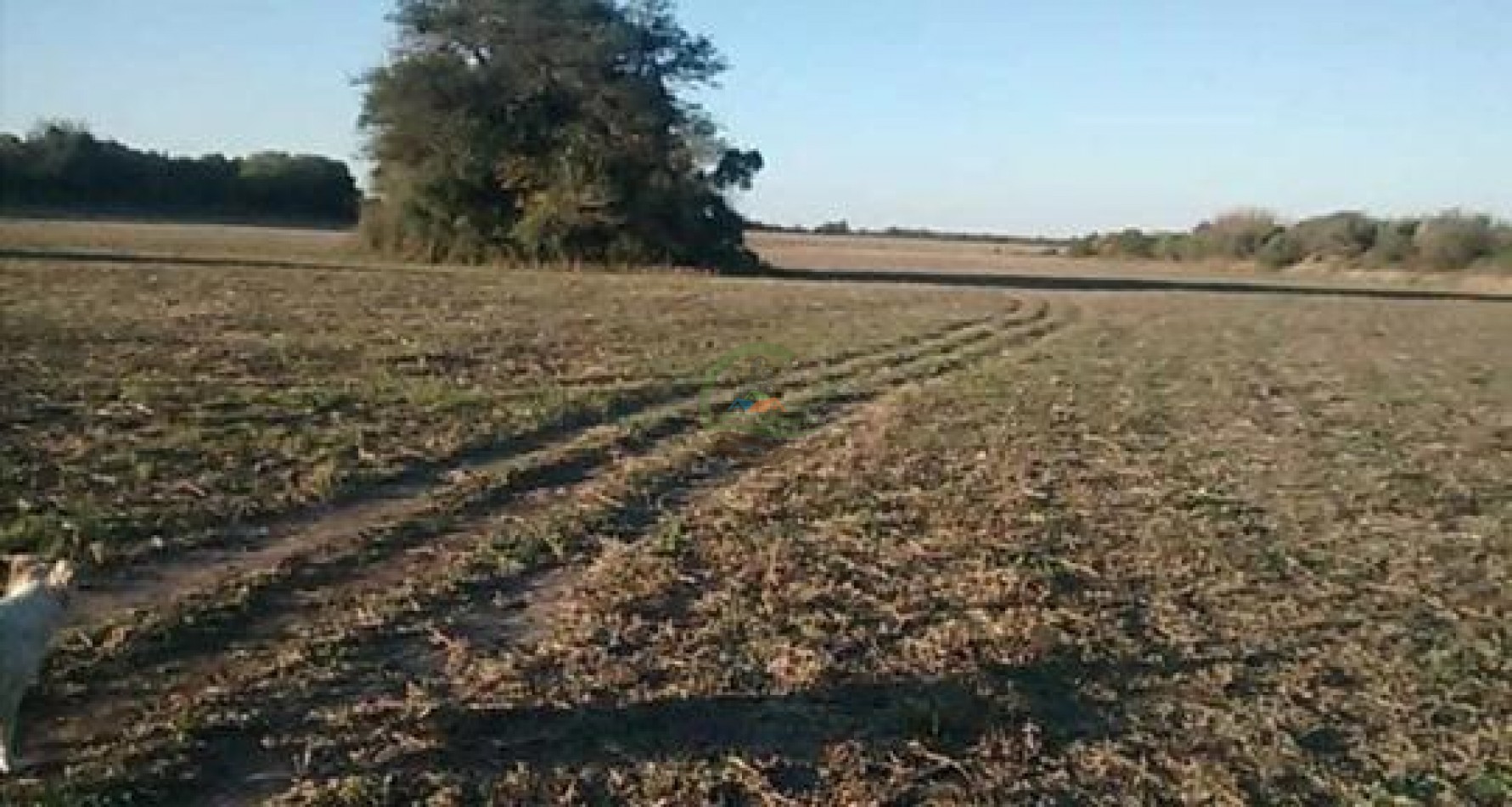 118 Ha Agricolas - Sarmiento - Totoral - Cordoba