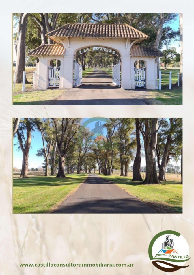 1420 Ha . Olivares - Lujan