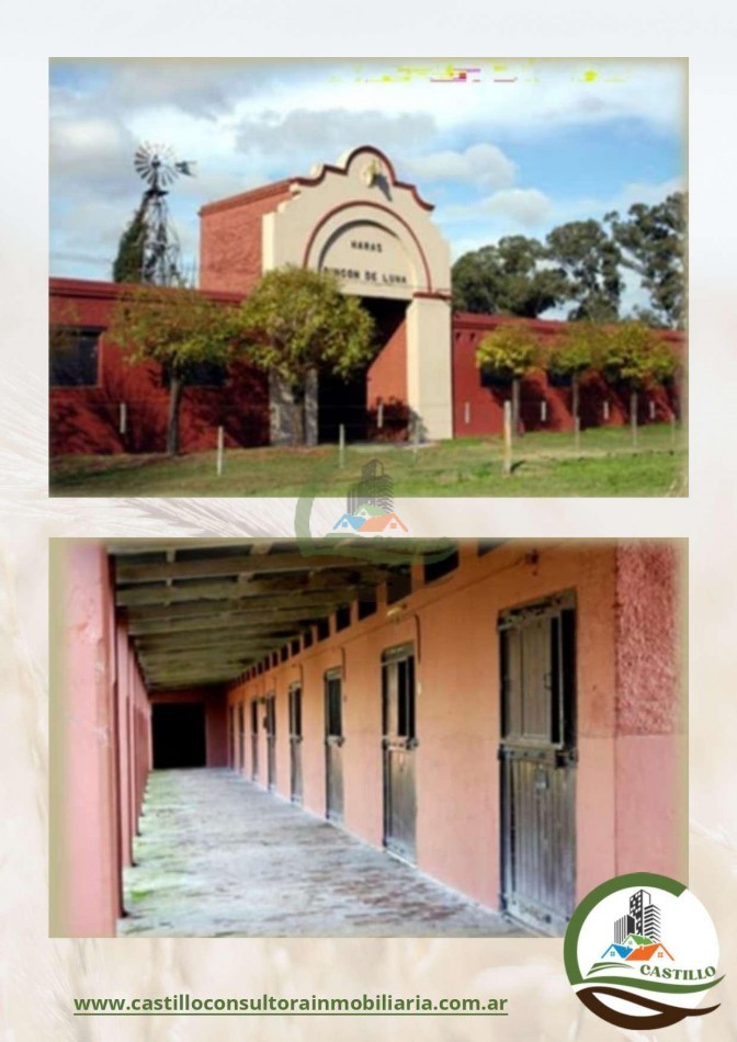 1420 Ha . Olivares - Lujan