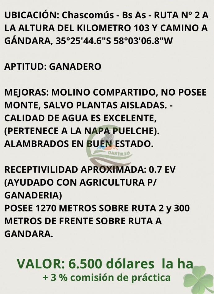 154 ha Ganaderas - Chascomus