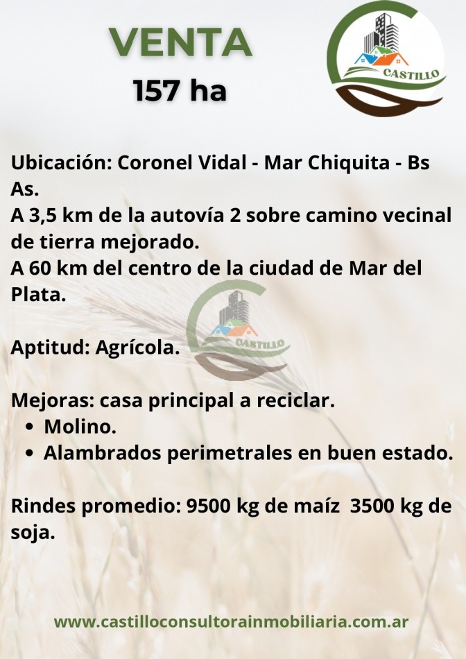 157 ha agricola - mar chiquita