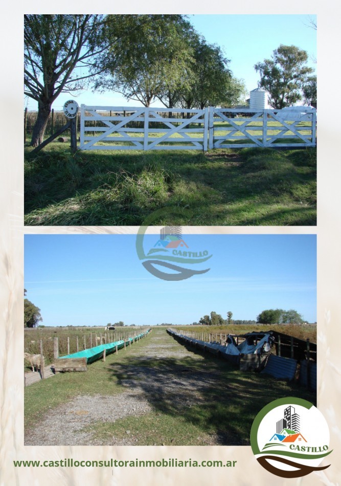 110 ha mixtas - bragado