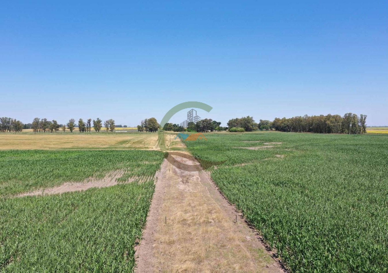 433 ha mixto - Bolivar 