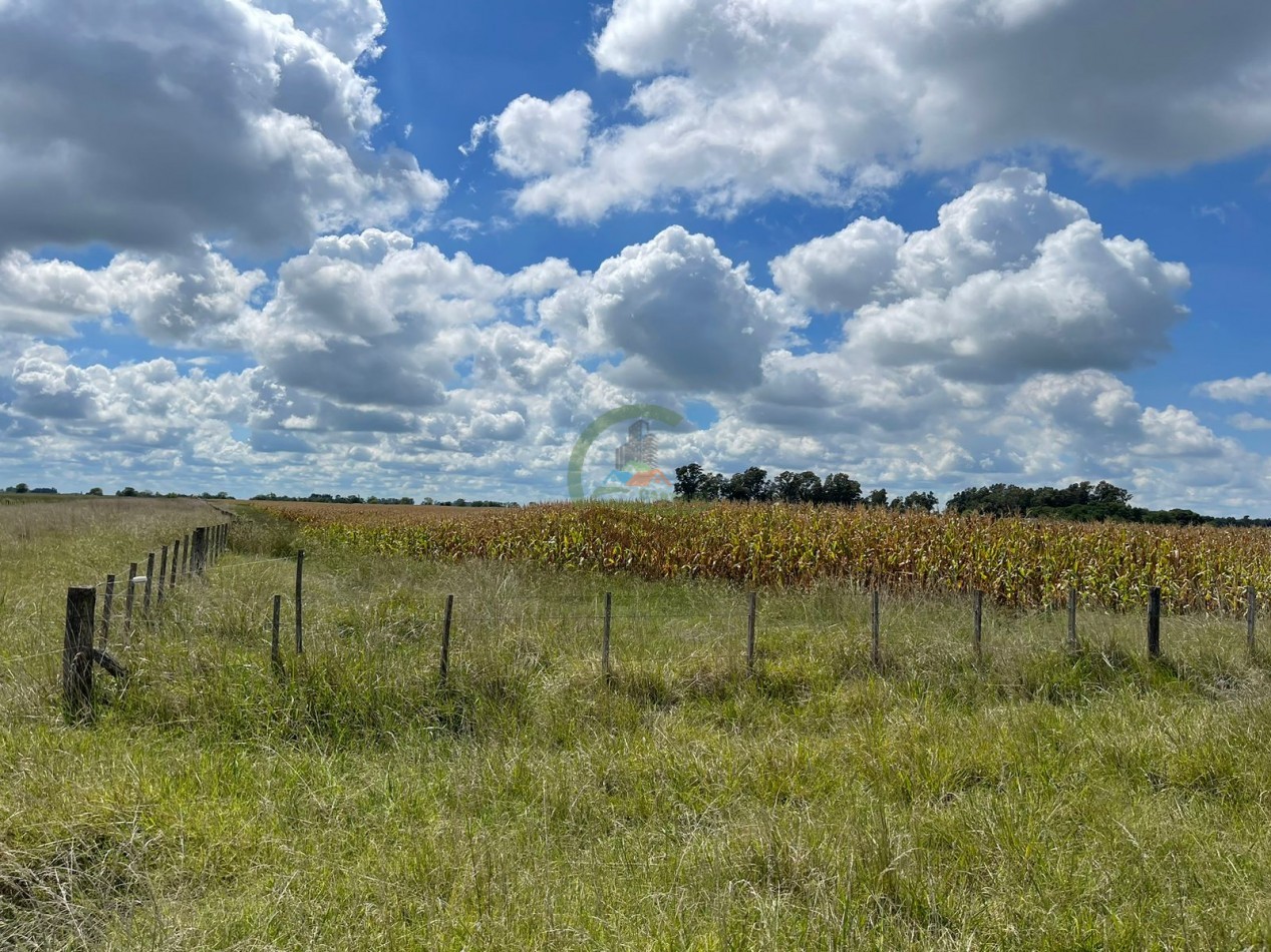 84 ha mixta - Bolivar