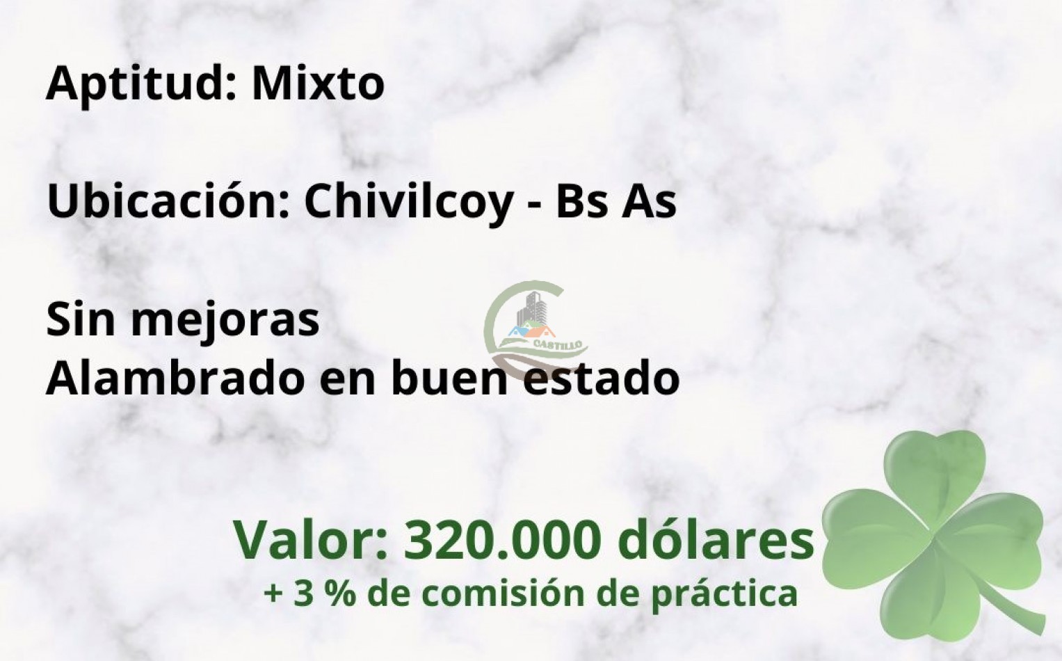 40 ha mixtas - chivilcoy 