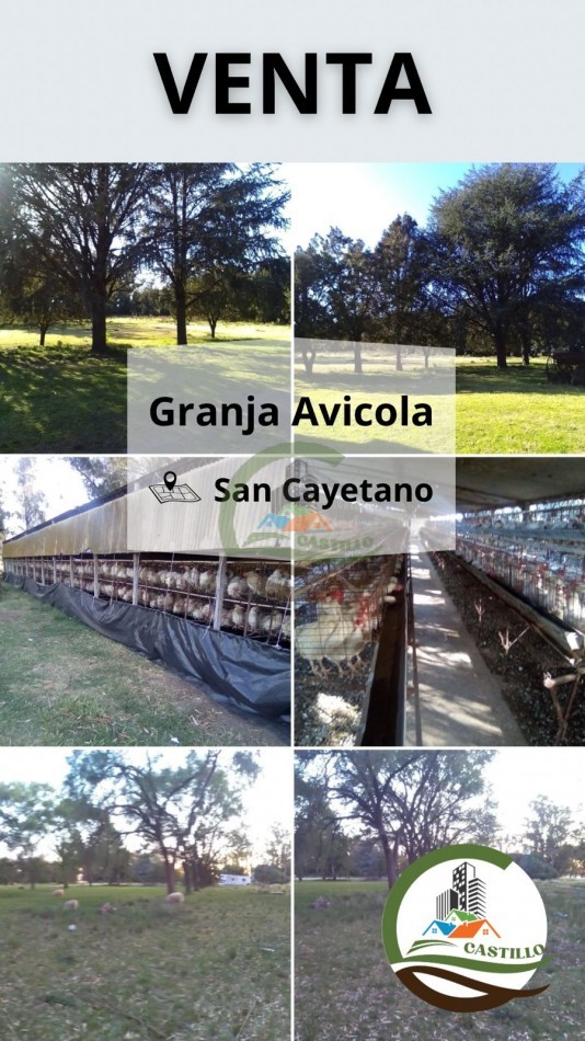 Granja Avicola San cayetano 