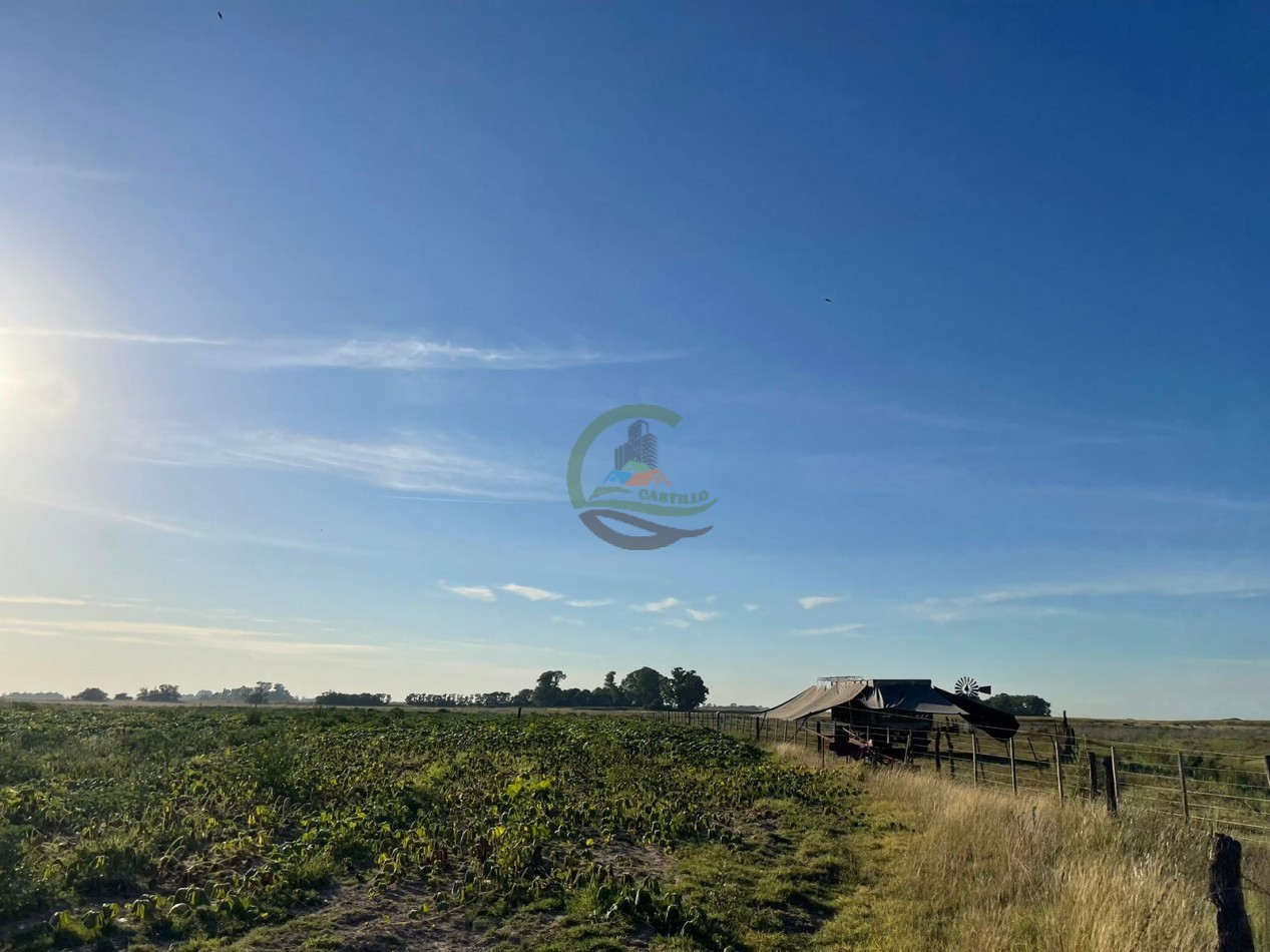 18 ha Mixtos - Pedernales