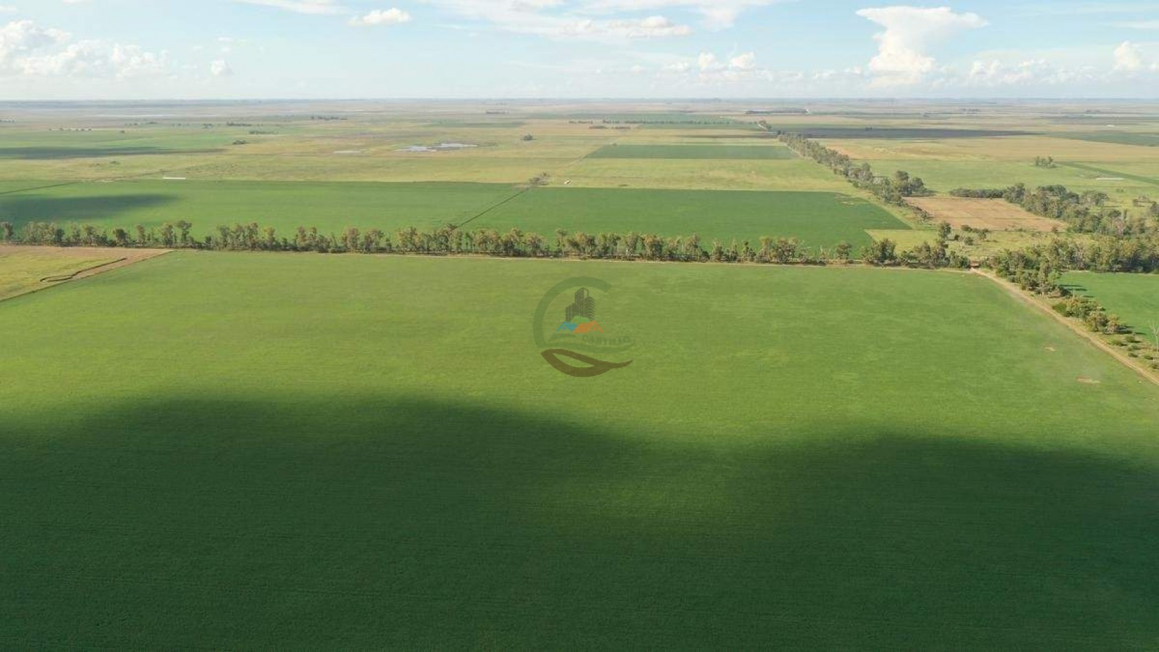 1138 ha agricolas - gral villegas