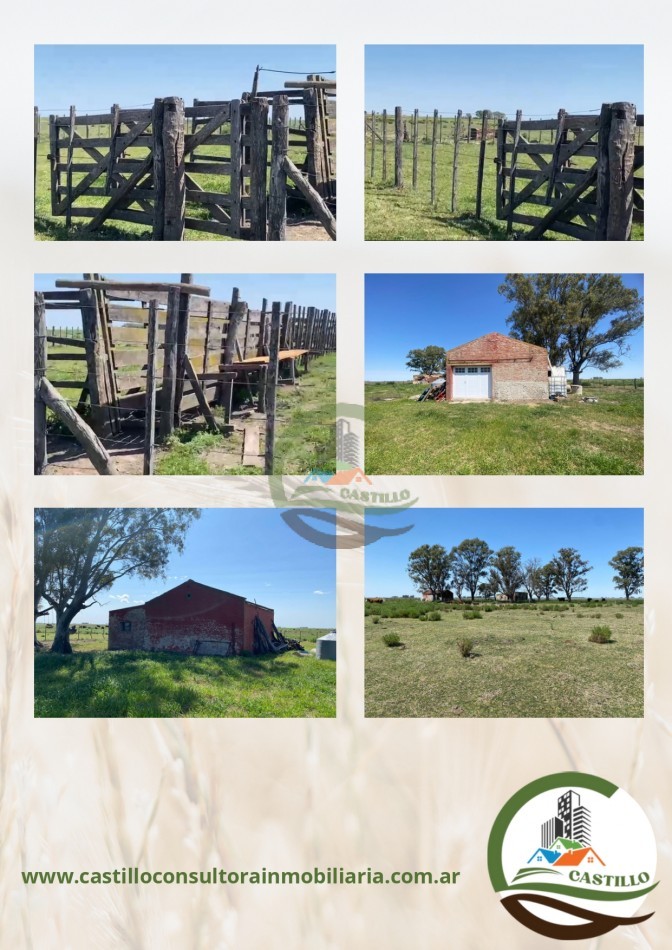 331 ha mixto - carlos tejedor