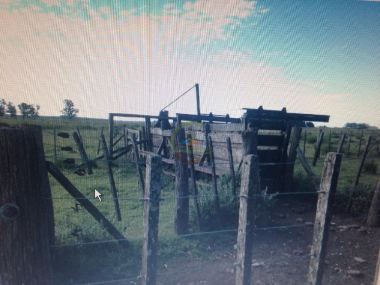 180 ha Ganadero - Las Flores