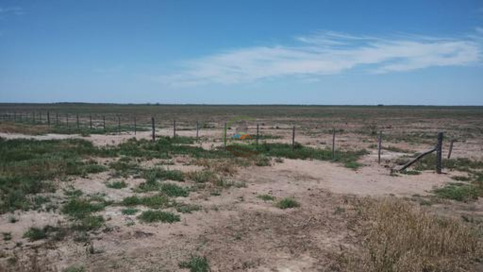 1900 Ha Mixto - Laboulaye - Cordoba