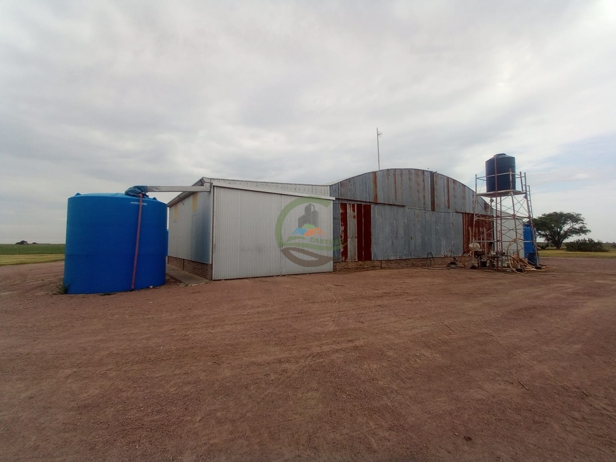 810 ha Agricolas - Fortin Inca - Santiago del Estero