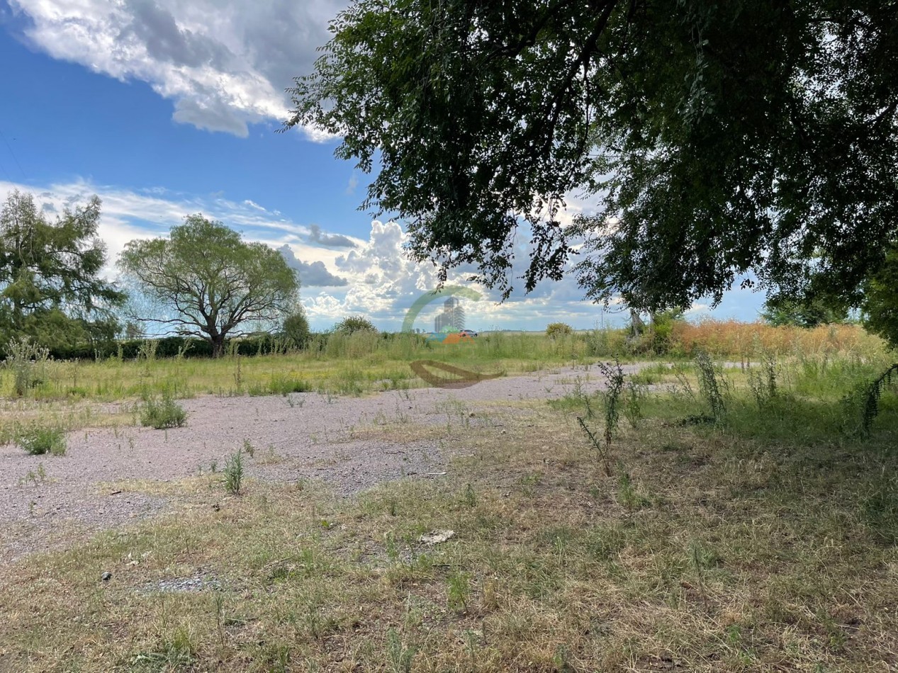 109 ha Feed Lot - Las Flores
