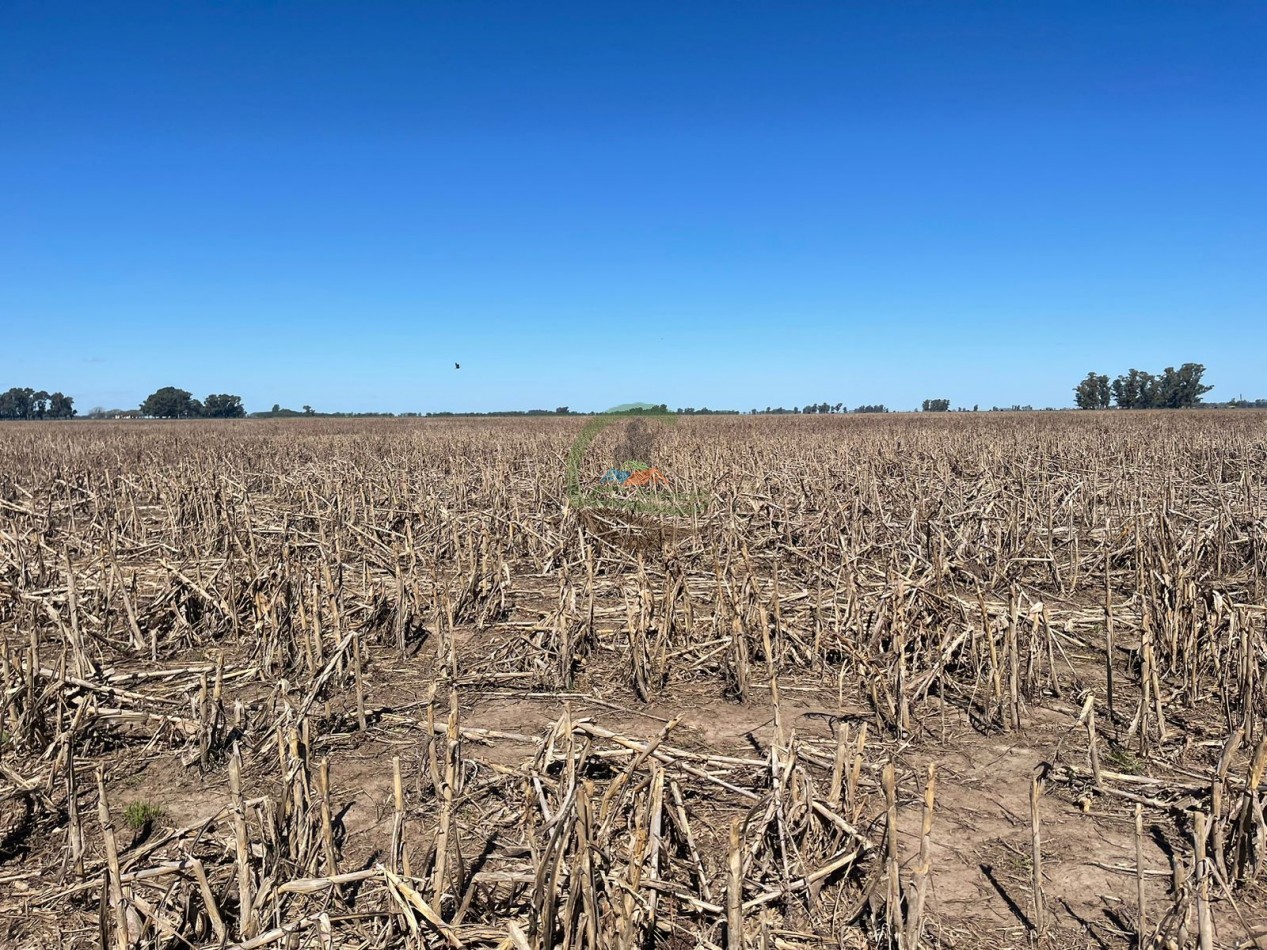 102 ha Agricolas - 25 de Mayo 