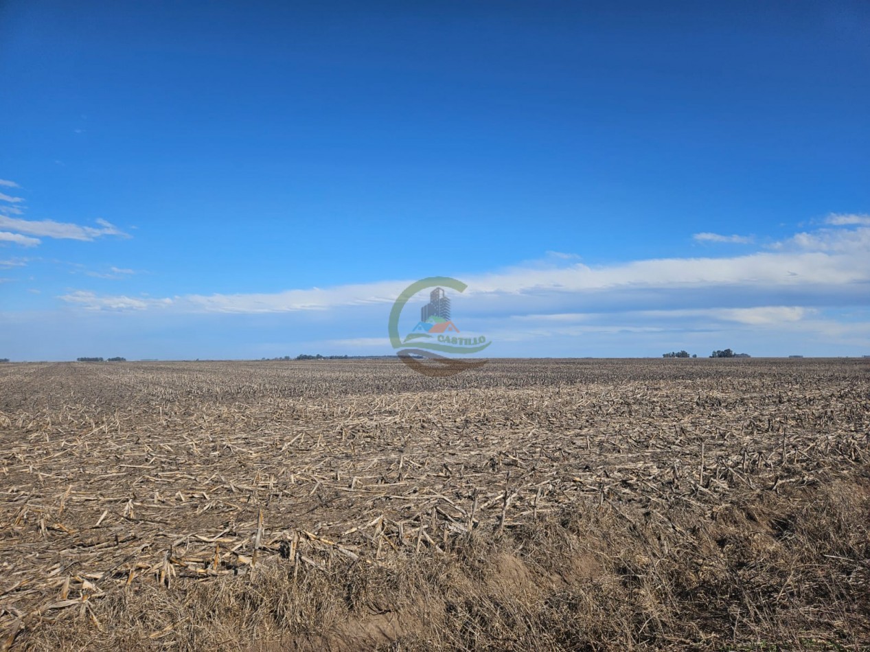 797 ha Agricolas - Bolivar