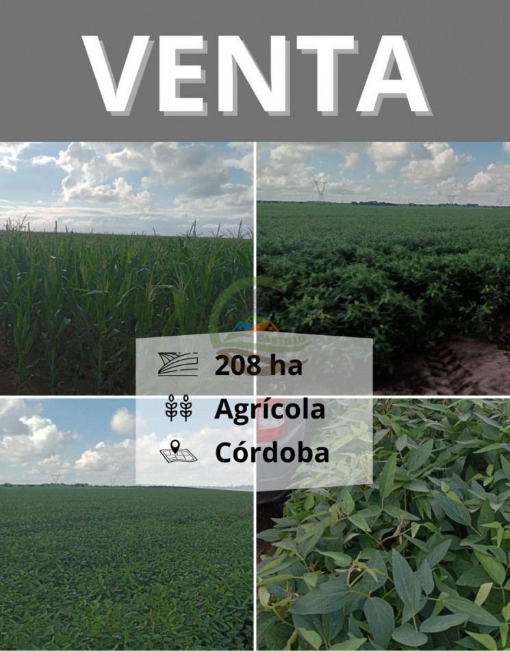 200 ha Agricolas - Cordoba 
