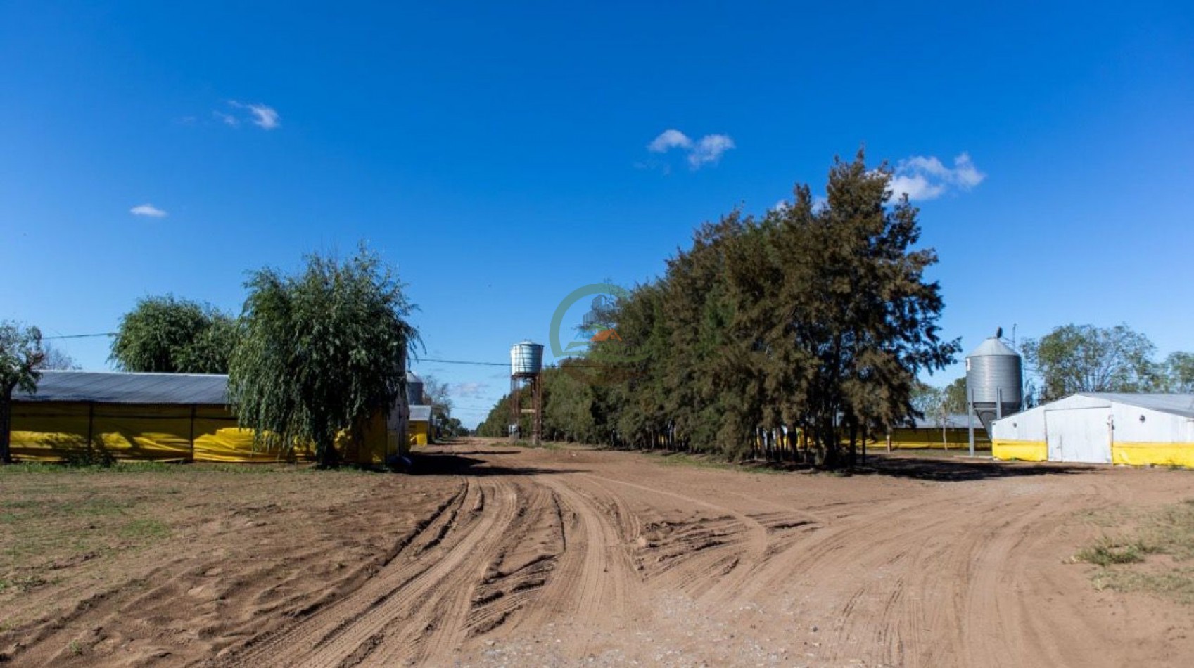 Granja Avicola 