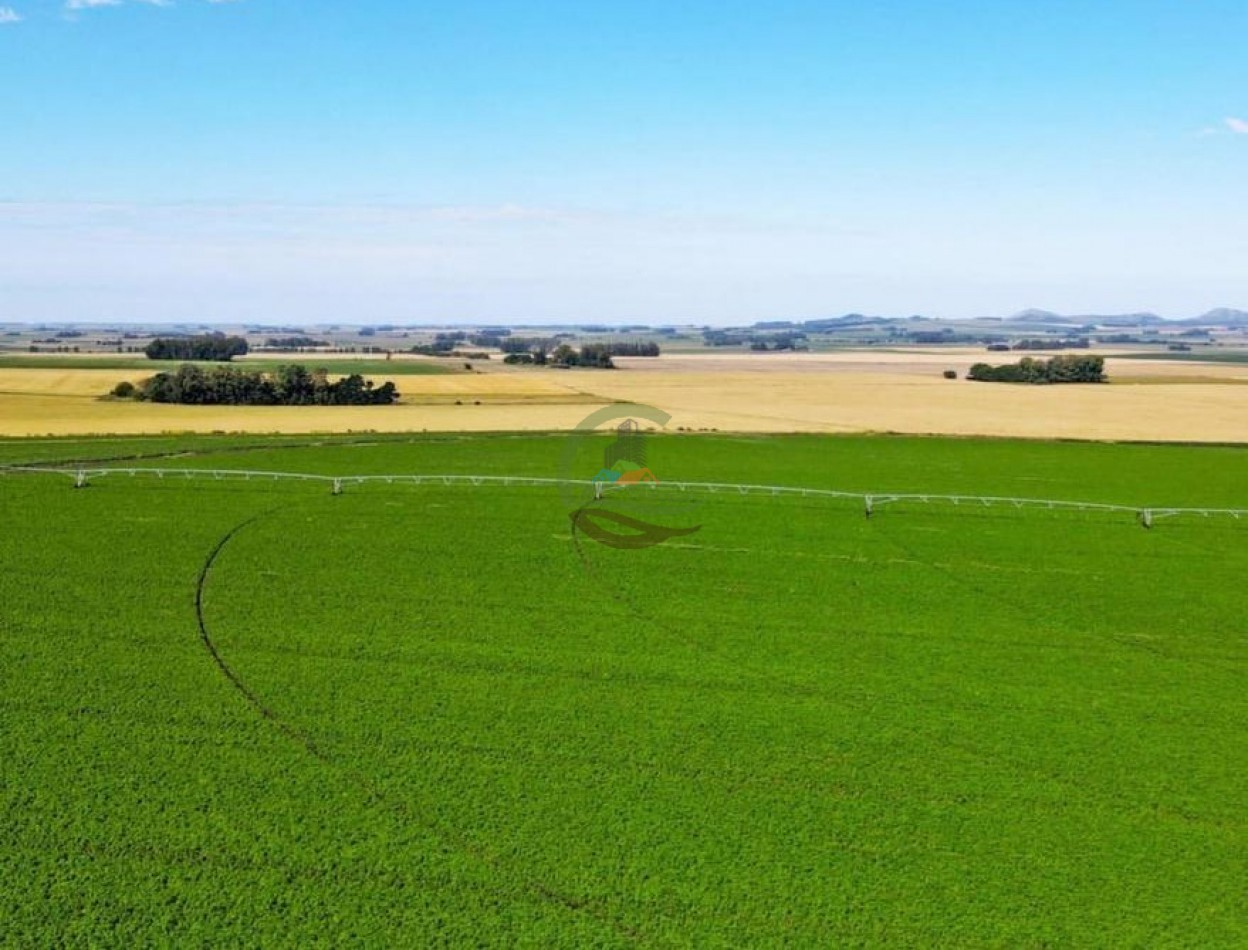 1970 Ha Agricolas - Balcarce
