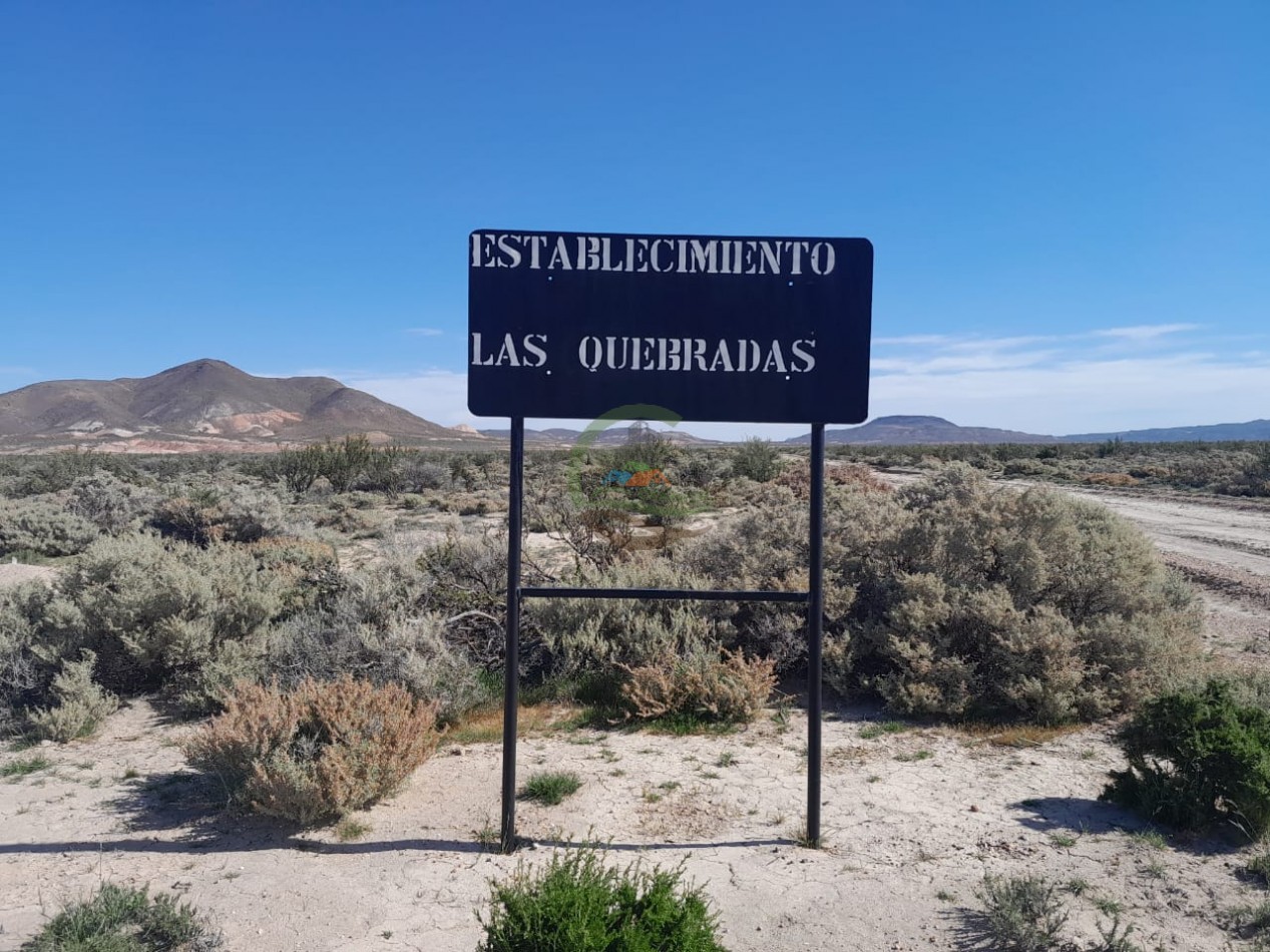 15000 ha Ganaderas - Chubut