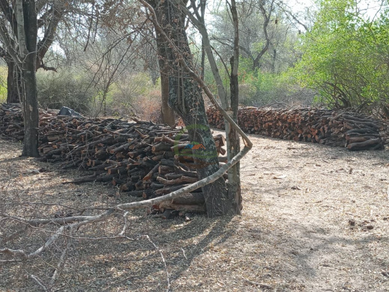 128 Ha - Sumamao - Santiago del Estero