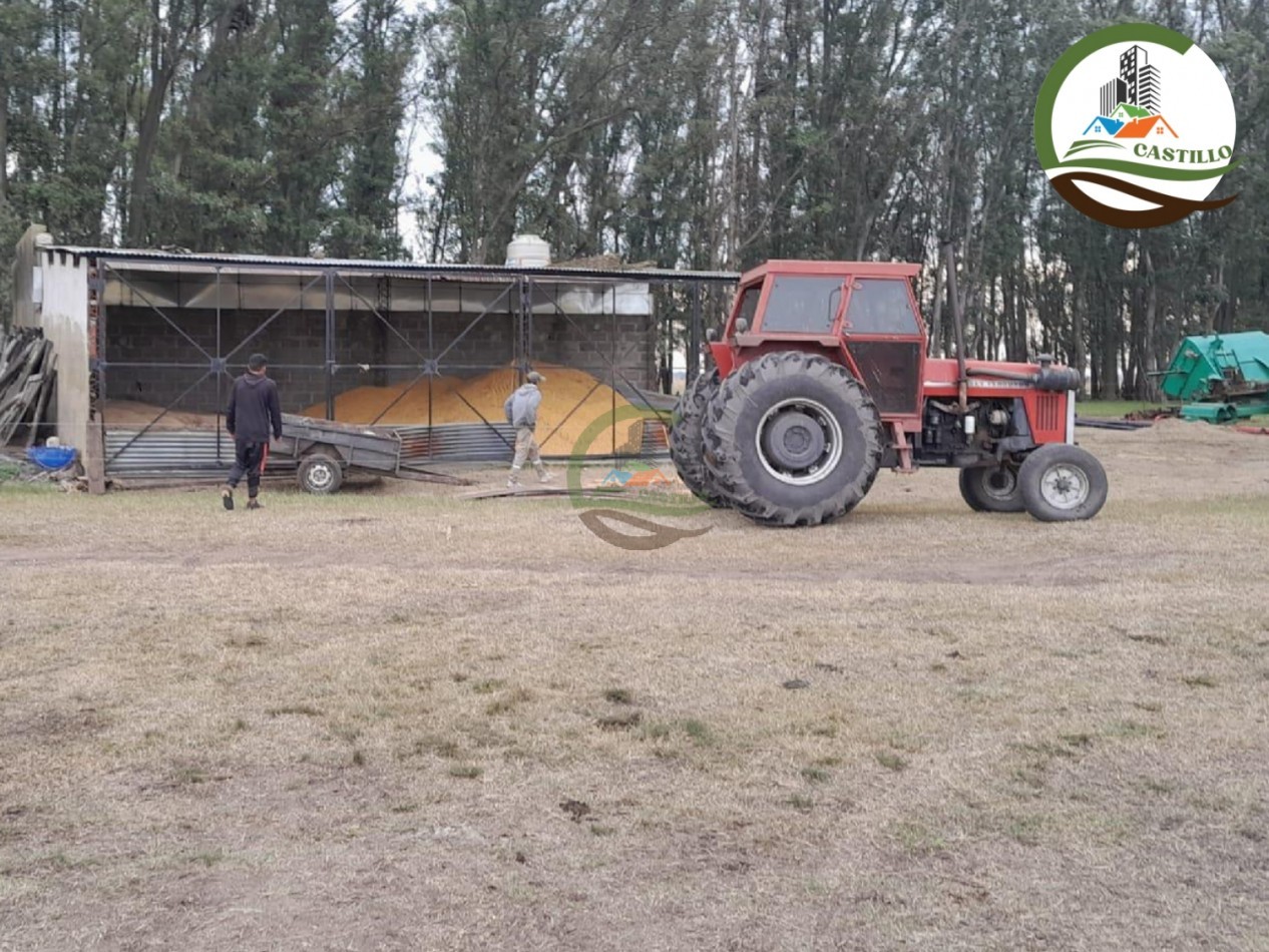 1025 ha mixta - saladillo