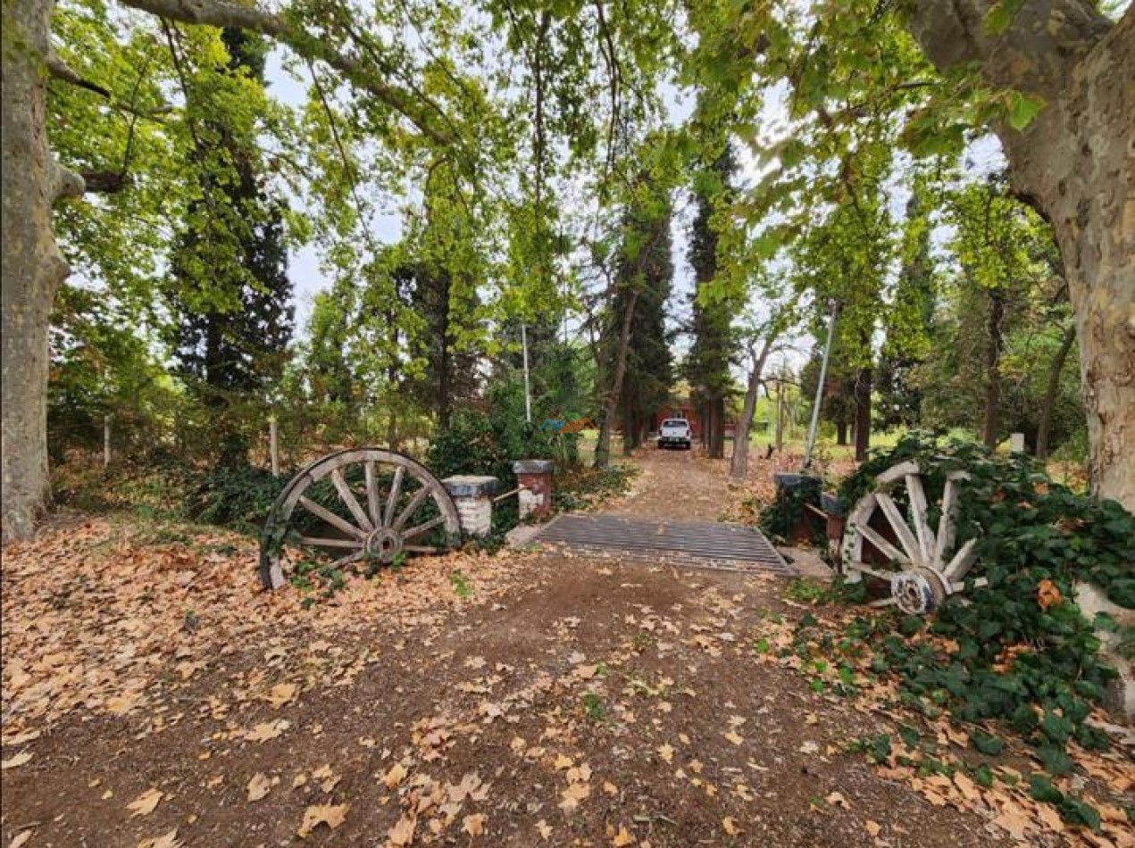 80 Ha Agricolas - San Martin - Mendoza