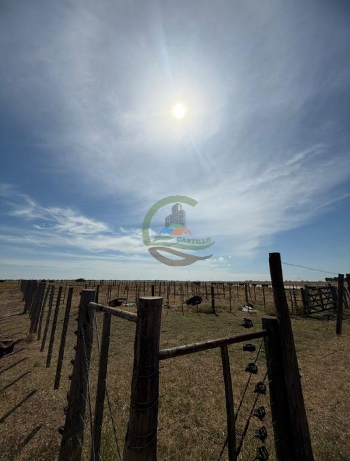 200 Ha Ganadero - Villa Iris - Buenos Aires
