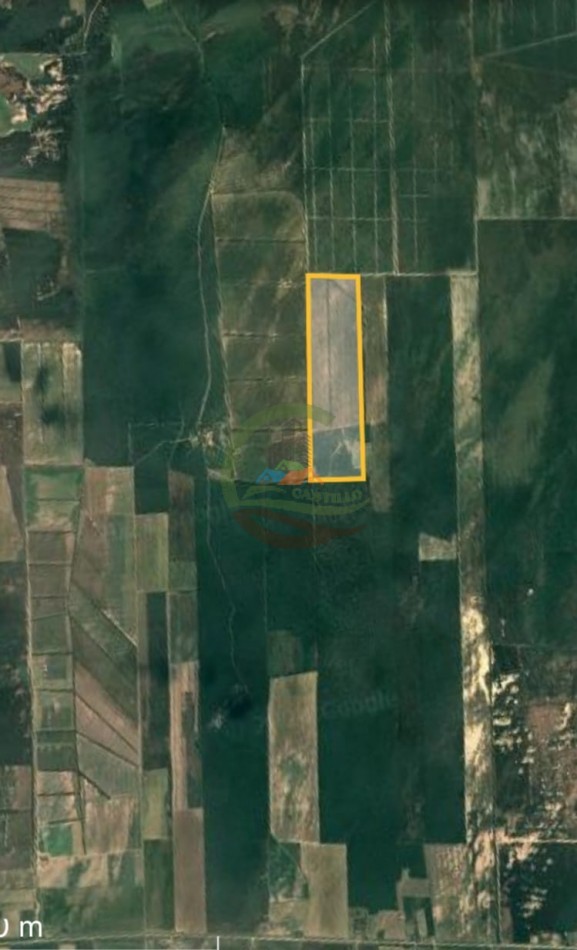 1125 ha Subdividido en tres fracciones mixto - Tucuman