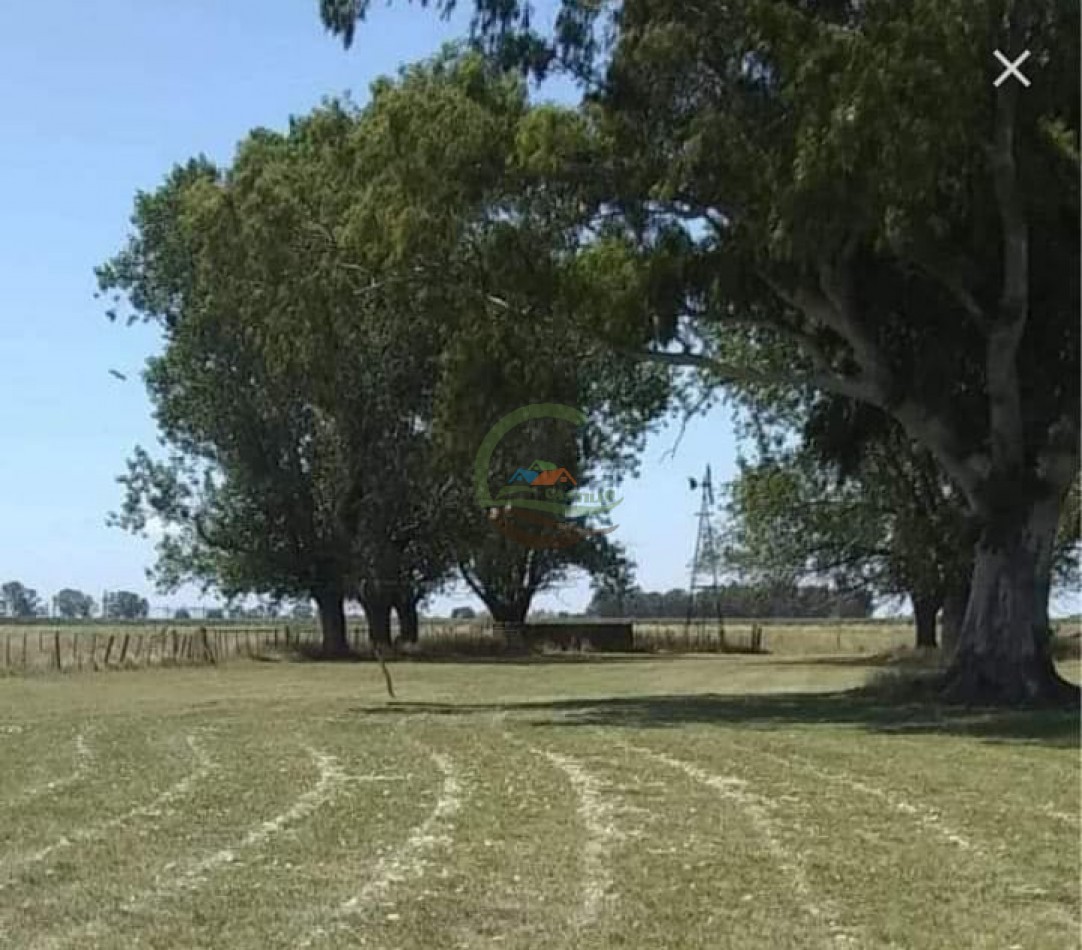 25 ha Mixto - Olavarria 