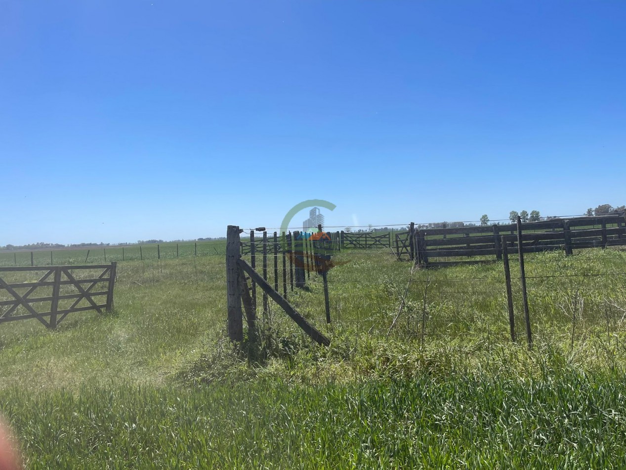 102 ha Agricolas - 25 de Mayo 