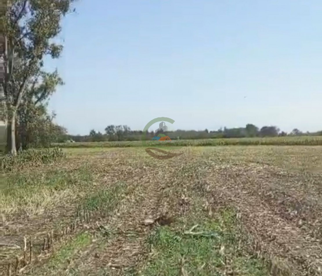 24 ha agricolas - mercedes