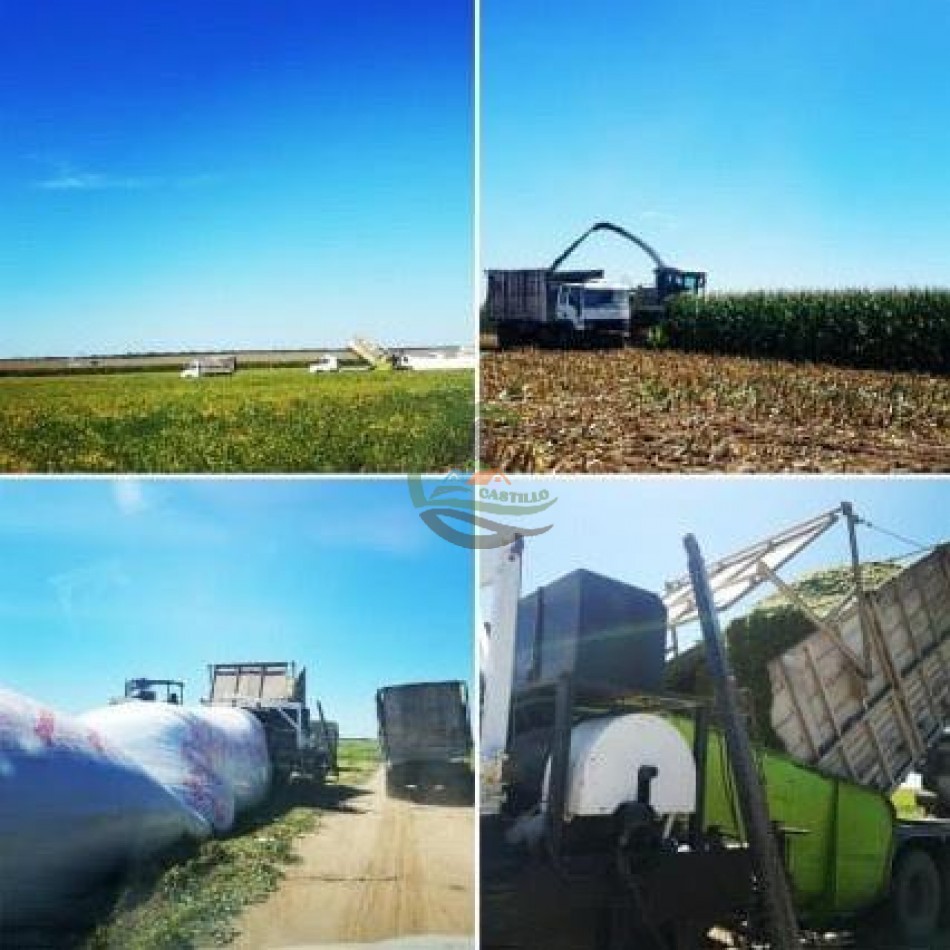 520 Ha Agricolas - Villa Mercedes - San Luis