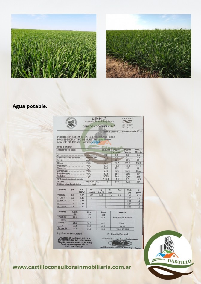 930 ha agricolas - bordenave